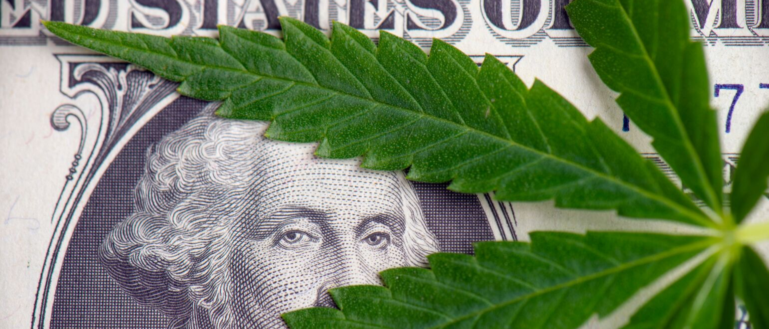 cannabis money Image